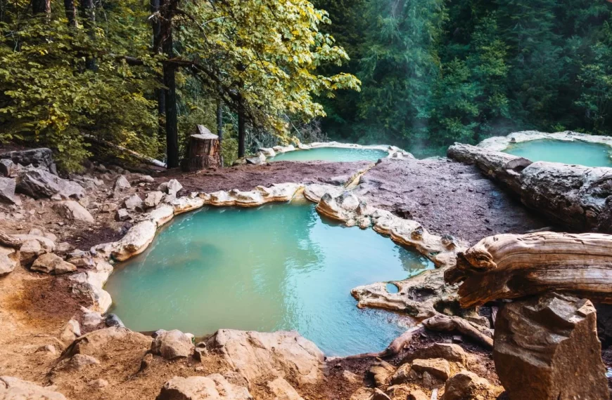 Secrets of Oregon's Springs: A Journey Through Crystal Clear Waters