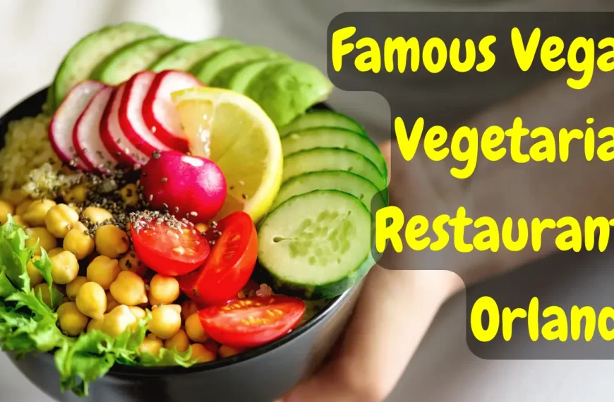 12 Famous Vegan Vegetarian Restaurants In Orlando -2024 | travelobuy.com