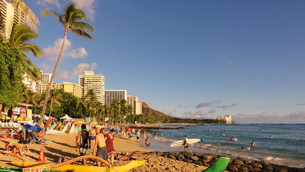 Best Beaches in the USA - A Coastal Paradise For Nature Lovers